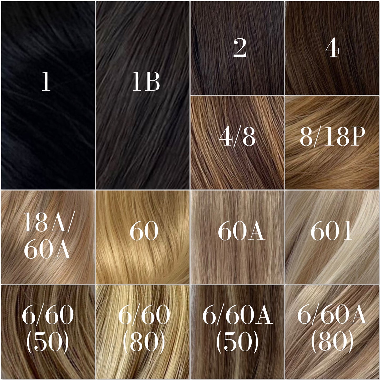 The Salon Essential Set: 1.4kg of 20” Hair (100g Each Colour)