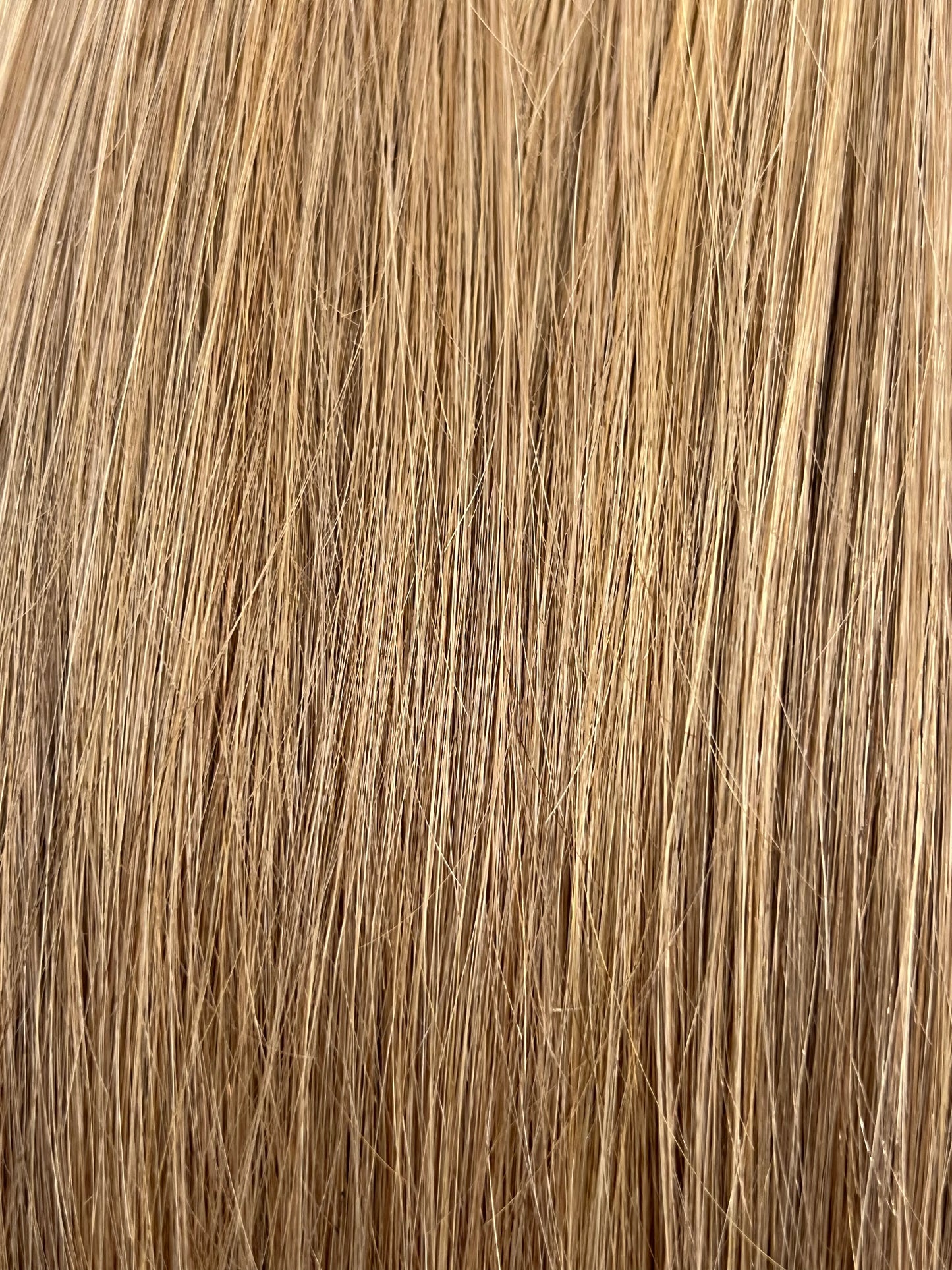 CLEARANCE OCCASSIONAL CLIP INS-18/8 Honey Blonde and Dark Golden Blonde 20 INCH 150 GRAMS